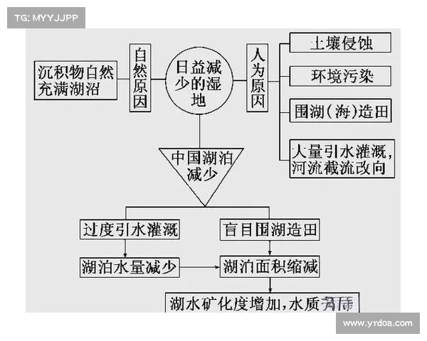 人工湖泊的生态保护与可持续发展探索分析